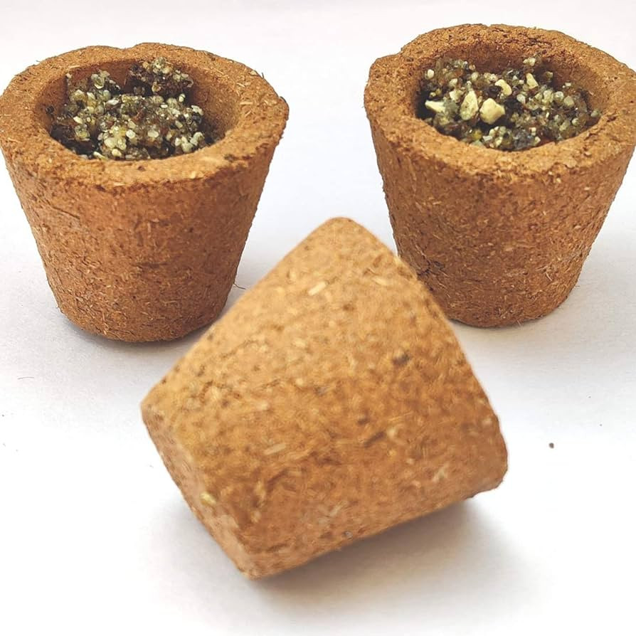 Dhoop Cup Brown (ब्राउन धूप कप)